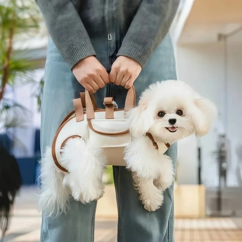 AdventurePup™ Harness Set 🦴✨ — Backpack, Leash & Harness in One