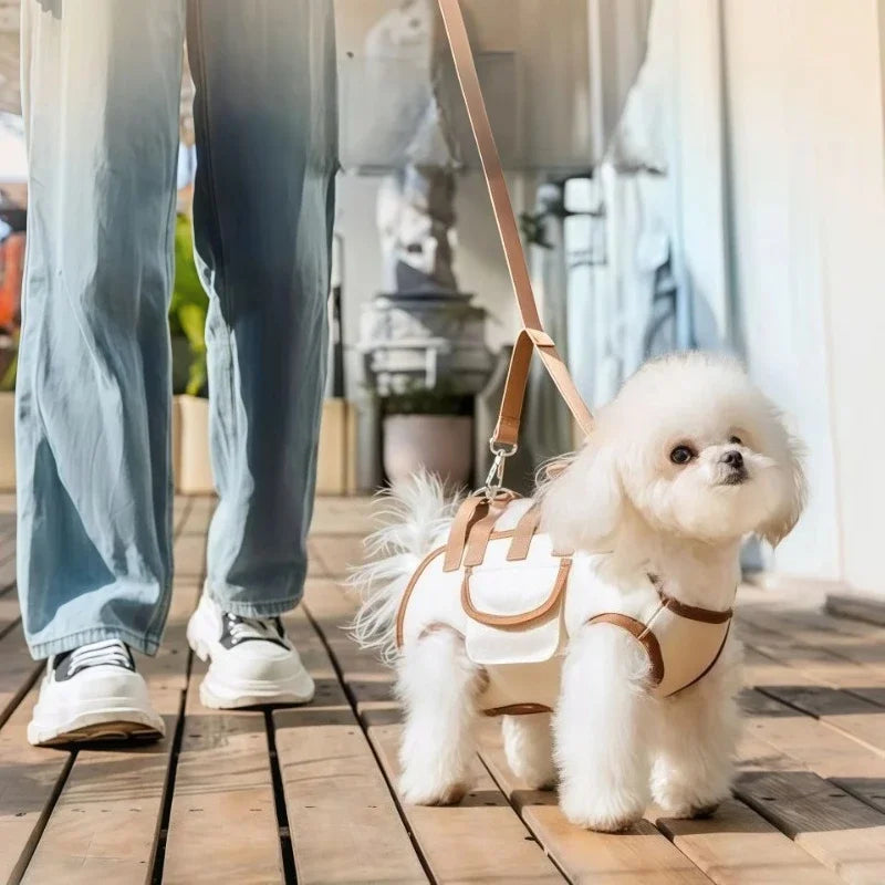 AdventurePup™ Harness Set 🦴✨ — Backpack, Leash & Harness in One